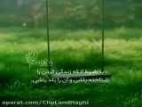 زندگی کن ...