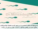 افزایش کیفیت اسپرم - دکتر سید امین میرصادقی