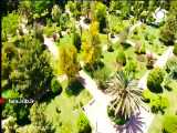 ترانه زیبای لری با صدای وحید حاجی وند - شیراز