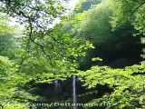 آبشاری زیبا در دل جنگل‌های هیرکانی رودبار