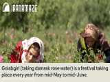 Iran Rose Water Festival