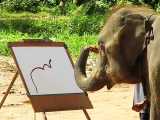 مسابقه نقاشی فیل ها با هنرمندی Suda