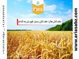 هاترا | علف کش تخصصی در مزارع گندم | Hatra