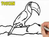 آموزش نقاشی به کودکان : آموزش طراحی پرنده توکان
