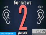 گوشتان چند ساله است؟