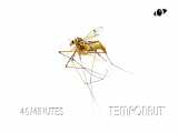 تایم لپس تقابل مورچه ها با این پشه بزرگ رو ببینید :(