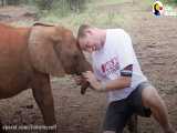 وقتی بچه فیل اهمیتی به مصاحبه این مرد نمیده و دوست داره باهاش بازی کنه :)