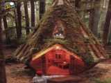 خانه رویایی در جنگل