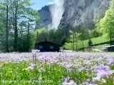 طبیعت زیبای سوییس