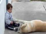 ببینید این سگ با بچه معلول چطو رفتار میکنه