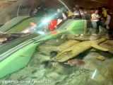 شانگهای چین - پله برقی زیر آب
