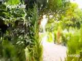 ویلا باغ 1000 متری جنگلی در نور