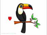 نقاشی برای کودکان - پرنده استوایی توکا