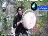 موسیقی سنتی -تکنوازی دف با ریتم آهنگ یاران چه غریبانه - دف نوازی اصیل ایرانی