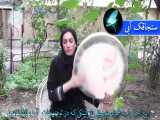 موسیقی سنتی -تکنوازی دف با ریتم آهنگ گل پون ها بسطامی - دف نوازی اصیل ایرانی