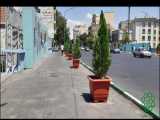 زیباسازی پل شهید مدرس در خیابان شهید بهشتی