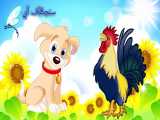 داستان کودکانه حیوانات - قصه جدید - شعر کودکانه سگ و خروس - قصه کارتونی فارسی
