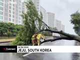 ‌طوفان باوی در کره جنوبی سقف خانه‌ها را کند
