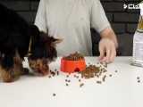 ساخت دستگاه غذادهی سگ