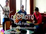 موسیقی لاتین دسپاسیتو - آهنگ زیبای اسپانیش با گیتار و کاخن - Despacito