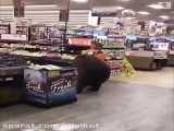 حضور یک خرس در فروشگاه مواد غذایی کالیفرنیا