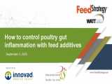 Webinar: Controlling Chronic Inflammation With Feed Additives
