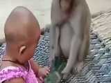 شوخیه میمون با کودک