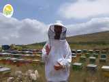 دمای نگهداری عسل طبیعی 