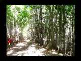 ویدئو زیبایی های مسیر دریاچه سها به آبشار لاتون – قسمت سوم مستند 