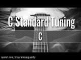 گیتار C Standard Guitar Tuner -CFADGC-