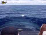 حرکت زیردریایی رو سطح آب از نمایی دیگر
