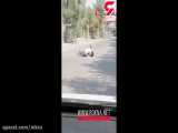 جنازه مرد شیرازی وسط خیابان از ماشین نعش کش بیرون افتاد