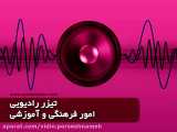 ویدیو شماره 17