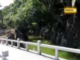 باغ کیوسومی در توکیو، بهشتی در پایتخت ژاپن - بوکینگ پرشیا