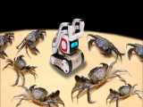 100 خرچنگ بزرگ و مبارزه با هوش مصنوعی ربات  چه اتفاقی میافتد؟