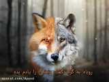 حکایت گرگ و روباه