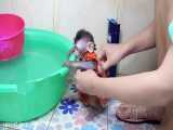 حمام کردن میمون کوچولو ( نیتا )
