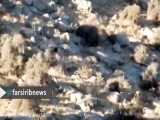 مشاهده سه قلاده پلنگ در پارک ملی بمو شیراز