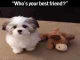 who is your best friend?