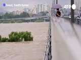 باران سیل‌آسا در کره جنوبی؛ ۱۳ کشته و ۱۰۰۰ آواره