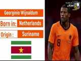 بازیکنان تیم ملی هلند اهل کدام کشورها هستند؟