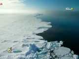 حیوانات(راز بقا)___کرانه یخی قطب شمال/حیات وحش.