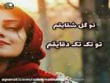 شعر گل عاشقانه گل شقایق