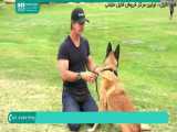 آموزش یستن قیاده