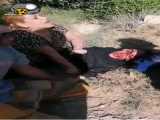کلیپ جنجالی ضرب و شتم دختر آبادانی توسط مامور حراست تاسیسات شرکت نفت