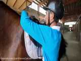 آماده سازی اسب برای سوارکاری در باشگاه پارت ورامین
