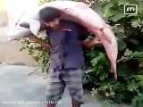 صید یک ماهی بسیار بزرگ و سنگین از رود سِیمَره در ایران
