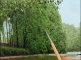 نقاشی واقعی رنگ روغن از روی عکس.16_نقاشی برگ درختان