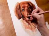 نقاشی چهره سگ با مداد رنگی 