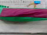 صدای اوازقناری